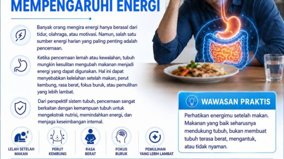 Mengapa Pencernaan Mempengaruhi Energi Tubuh?