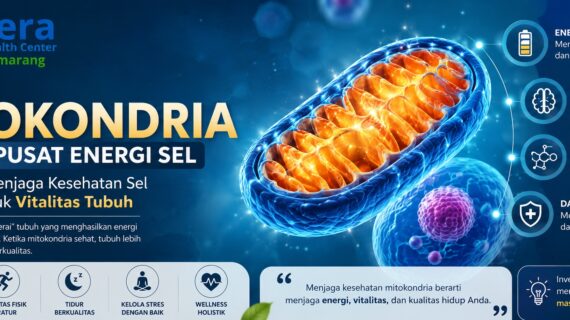 Peran Mitokondria sebagai Pusat Energi Sel: Mengapa Menjaga Kesehatan Sel Penting untuk Vitalitas Tubuh